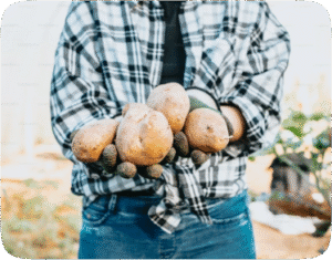 Approaches for fewer pesticide applications