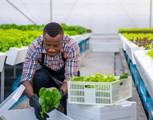 How climate change is shaping agriculture